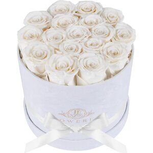 17 Flowers in a Luxury Suede Gift Box Birthday Gifts Preserved Flowers White